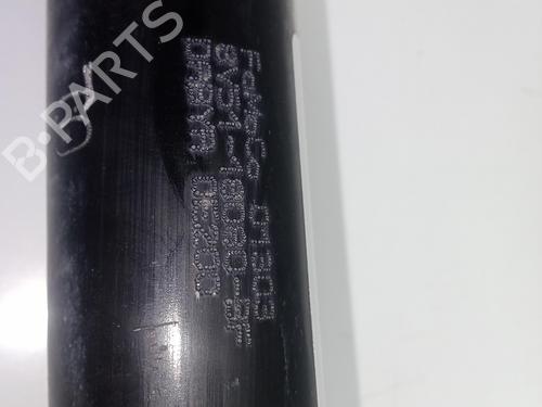 Right rear shock absorber FORD FIESTA VI (CB1, CCN)  | BP12210822M19 