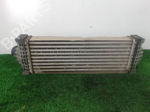 Intercooler FORD TRANSIT CUSTOM V362 Van (FY, FZ)  | BP29989970M30
