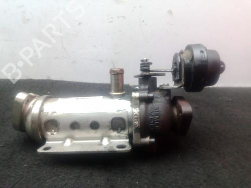 Egr RENAULT MEGANE II Saloon (LM0/1_) | BP32000896M69