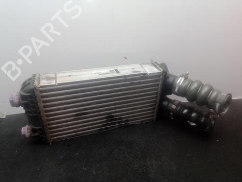 Intercooler Intercooler CITROËN C4 III (BA_, BB_, BC_) 1.5 BlueHDi 130 (BBYHZB) (131 hp) 34645862 34645862