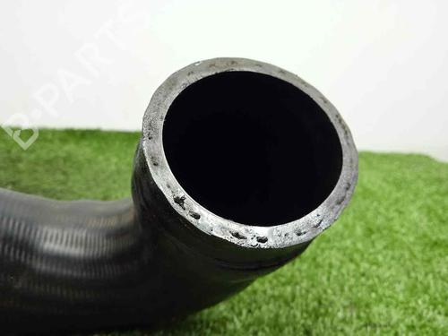 Pipe VW GOLF IV (1J1) 1.9 TDI | BP14254814M125 