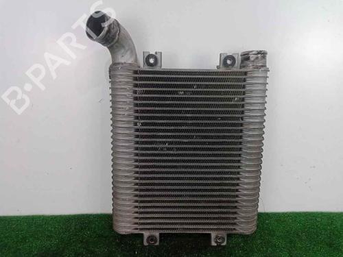 Used Intercooler HYUNDAI SANTA FÉ I (SM) 2.0 CRDi (113 hp) 30288646