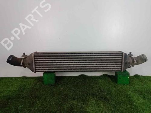 Intercooler FIAT BRAVO II (198_) 1.9 D Multijet (198AXB1A) | BP29213513M30 