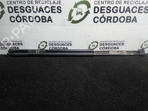 Used Tailgate lift support FORD FIESTA V (JH_, JD_) 1.4 TDCi (68 hp) 23577743