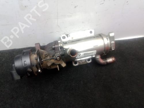 Egr RENAULT MEGANE II Saloon (LM0/1_) | BP32000896M69