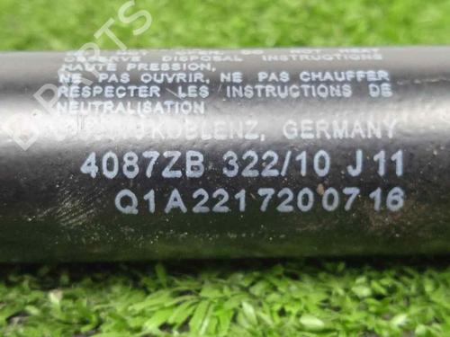 Hinge/Door check strap MERCEDES-BENZ S-CLASS (W221, V221) S 320 CDI | BP14255352C146 