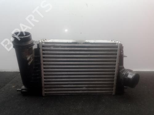 Intercooler Intercooler RENAULT SCÉNIC IV (J9_) 1.3 TCe 140 (140 hp) 34366379 34366379