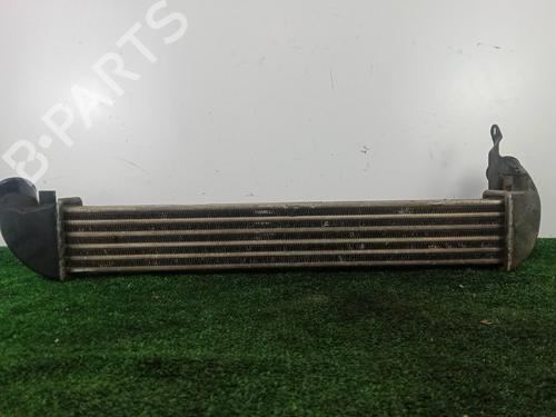 Intercooler RENAULT CLIO II (BB_, CB_) 1.5 dCi | BP31094501M30