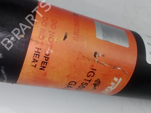 Right rear shock absorber RENAULT CLIO III (BR0/1, CR0/1)  | BP29464998M19 