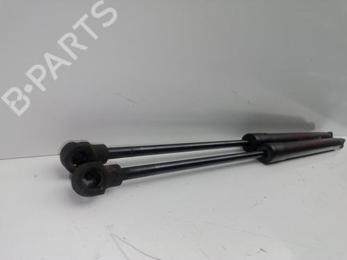 Tailgate lift support RENAULT CLIO IV (BH_)  | BP16683521C138 