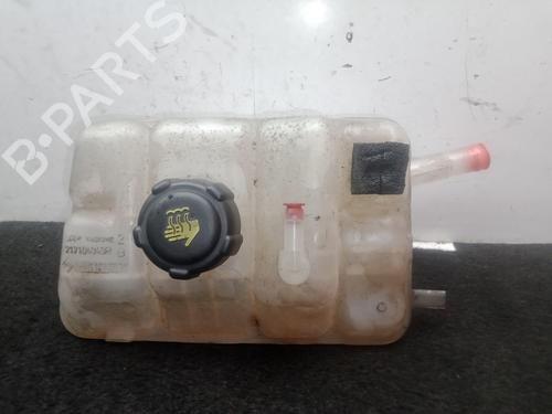 Expansion tank RENAULT MEGANE IV Hatchback (B9A/M/N_) 1.5 dCi 90 (B9A1) 217104048R