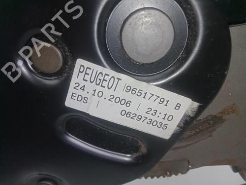 Hand brake PEUGEOT 207 (WA_, WC_)  | BP29460357I18 