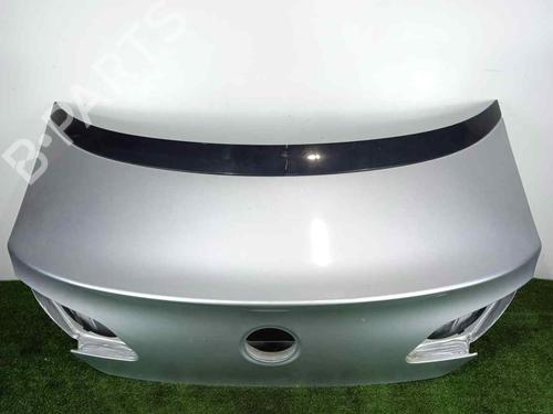 Used Tailgate VW PASSAT CC B6 (357) 2.0 TDI (140 hp) 21191630