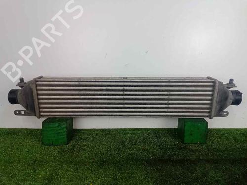 Intercooler FIAT DOBLO Cargo (263_) 1.3 D Multijet | BP25724909M30 