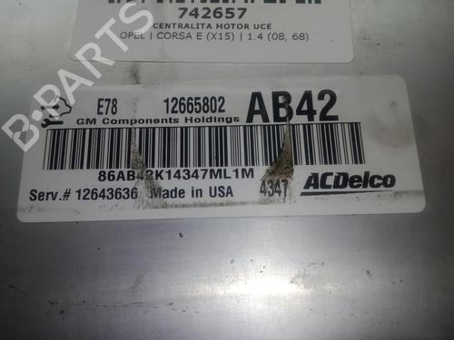 Engine control unit (ECU) OPEL CORSA E (X15)  | BP29955924M57