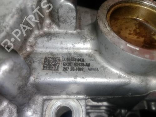 Egr FORD TRANSIT CUSTOM V362 Van (FY, FZ) | BP29729758M69