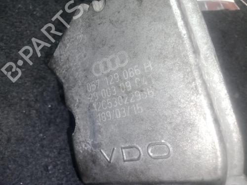 Caja mariposa AUDI A8 D3 (4E2, 4E8) 4.0 TDI quattro | BP29822975M82