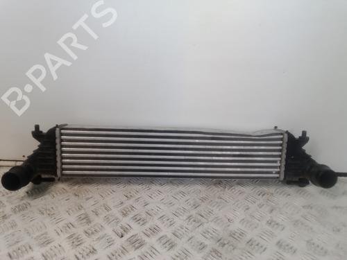 Used Intercooler FIAT TIPO Saloon (356_, 357_) 1.6 D (356SXG1B) (120 hp) 21174945