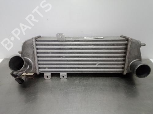Used Intercooler HYUNDAI i30 (FD) 1.6 CRDi (116 hp) 5732116