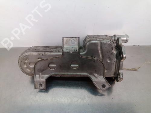 Egr SEAT LEON (1M1) 1.9 TDI | BP15106154M69 