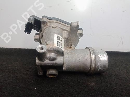 Throttle body RENAULT KANGOO / GRAND KANGOO II (KW0/1_) 1.5 dCi 115 (KW17) | BP11704808M82 