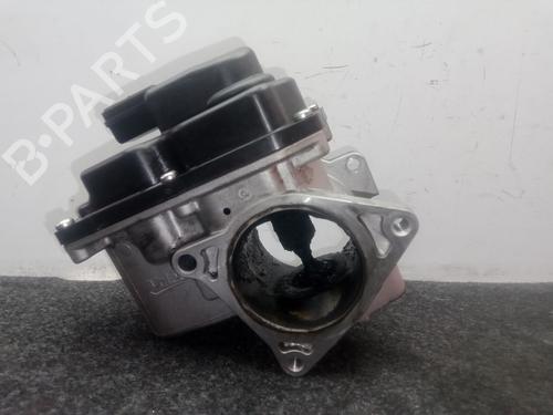 Egr SEAT EXEO ST (3R5)  | BP29447514M69 