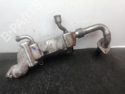 Egr AUDI A8 D3 (4E2, 4E8) 4.0 TDI quattro | BP29822986M69 