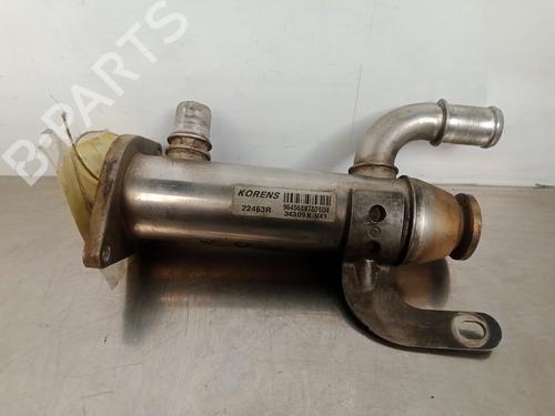 EGR-Ventil FIAT ULYSSE (179_) [2002-2011]  14483888