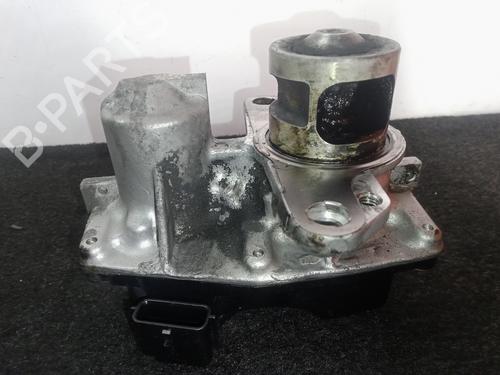 Egr NISSAN X-TRAIL III (T32_, T32R, T32RR)  | BP11041484M69 