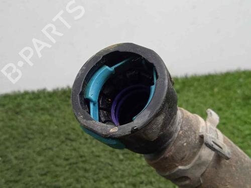 Other FORD RANGER (TKE)  | BP19934620O1