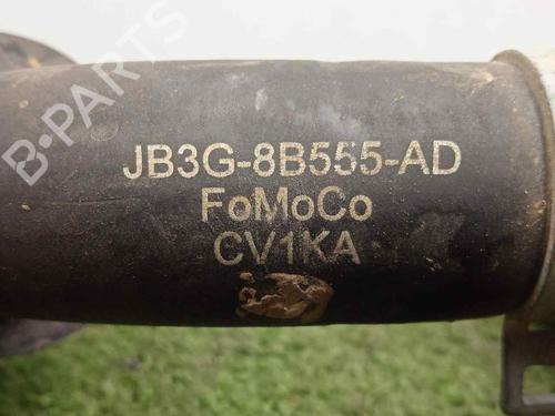 Other FORD RANGER (TKE)  | BP19934620O1