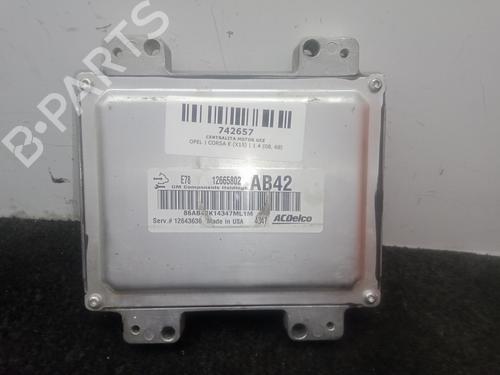 Engine control unit (ECU) OPEL CORSA E (X15)  | BP29955924M57