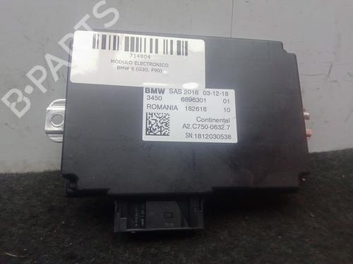 Used Electronic module BMW 5 (G30, F90) 520 d (190 hp) 24319652