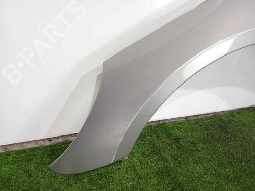 Left front fenders MERCEDES-BENZ R-CLASS (W251, V251)  | BP15543282C41 