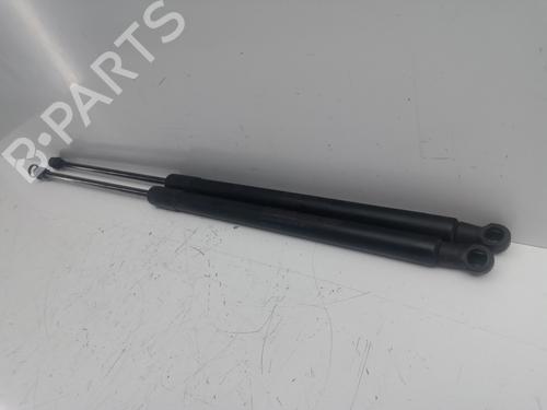 Tailgate lift support NISSAN QASHQAI / QASHQAI +2 I (J10, NJ10, JJ10E)  | BP18322702C138 