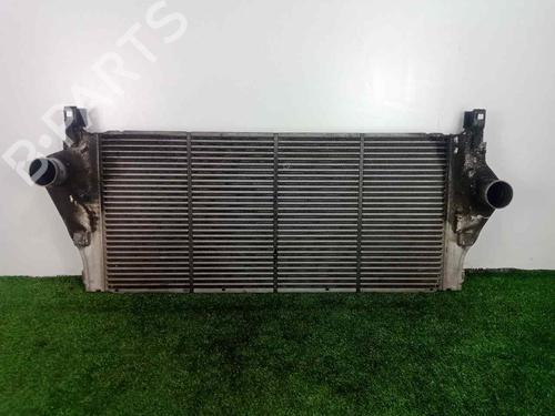 Intercooler RENAULT LAGUNA II (BG0/1_) 1.9 dCi (BG08, BG0G) | BP29118056M30 