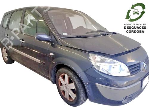 Used Parts RENAULT GRAND SCÉNIC II (JM0/1_) 1.9 dCi (JM14) 4910400