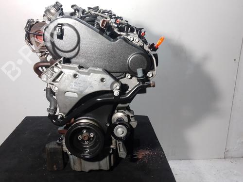 Engine VW GOLF VI (5K1) 1.6 TDI | BP31920929M1