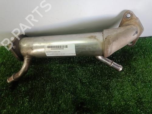 Egr FIAT DUCATO Bus (250_)  | BP26681867M69 