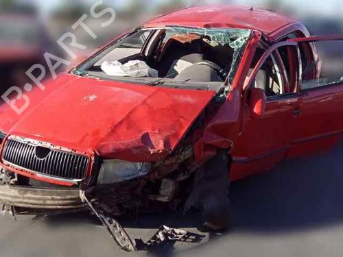Catalyst SKODA FABIA I (6Y2)  | BP15691621M10 