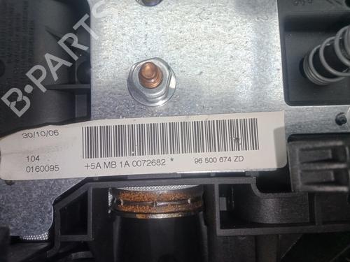 Driver airbag PEUGEOT 207 (WA_, WC_)  | BP29460359C9 