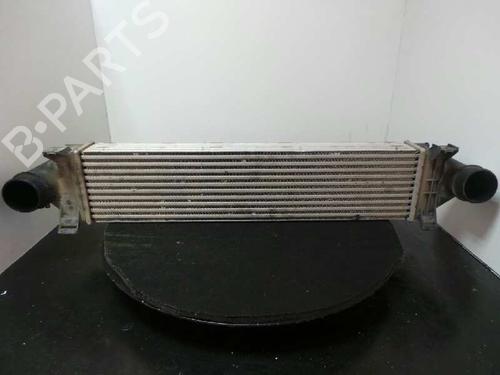 Used Intercooler LAND ROVER FREELANDER 2 (L359) 2.2 TD4 4x4 (150 hp) 5691885