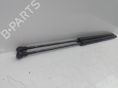 Tailgate lift support NISSAN QASHQAI / QASHQAI +2 I (J10, NJ10, JJ10E)  | BP18322702C138 