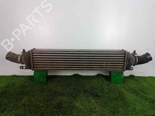 Intercooler FIAT BRAVO II (198_) 1.9 D Multijet (198AXB1A) | BP29213513M30 