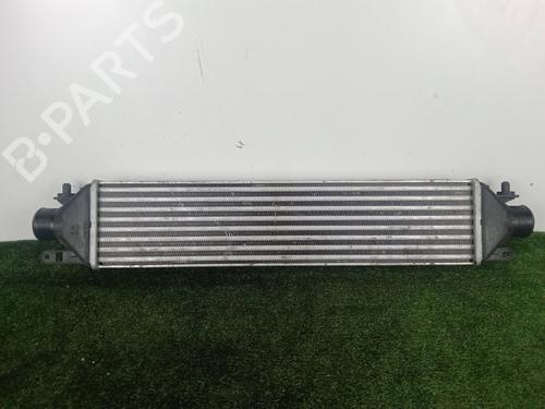 Used Intercooler FIAT GRANDE PUNTO (199_) 1.9 D Multijet (130 hp) 25798625
