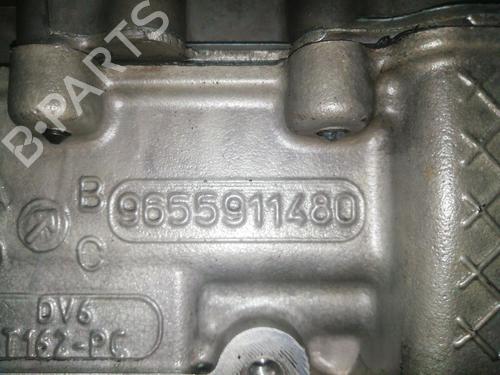 Cylinder head FORD FIESTA VI (CB1, CCN)  | BP30087904M5 