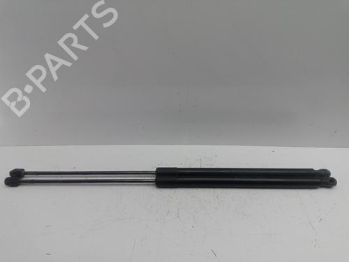 Used Tailgate lift support FORD KUGA I 2.0 TDCi (136 hp) 18329742