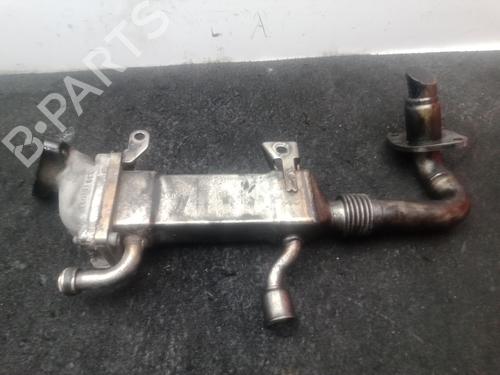 Egr AUDI A8 D3 (4E2, 4E8) 4.0 TDI quattro | BP29822986M69 