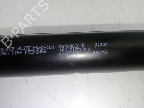 Tailgate lift support RENAULT CLIO IV (BH_)  | BP16683521C138 