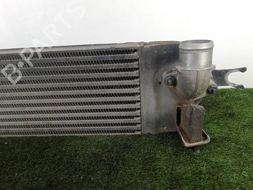 Intercooler RENAULT KOLEOS I (HY_) 2.0 dCi (HY0K) | BP39514365M30 - Image 2